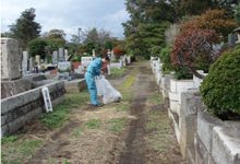 多磨霊園は府中市と小金井市をまたいだ場所にある都立霊園。