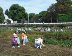 皆、夢中になって活動しました！